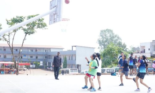 Sports (3)