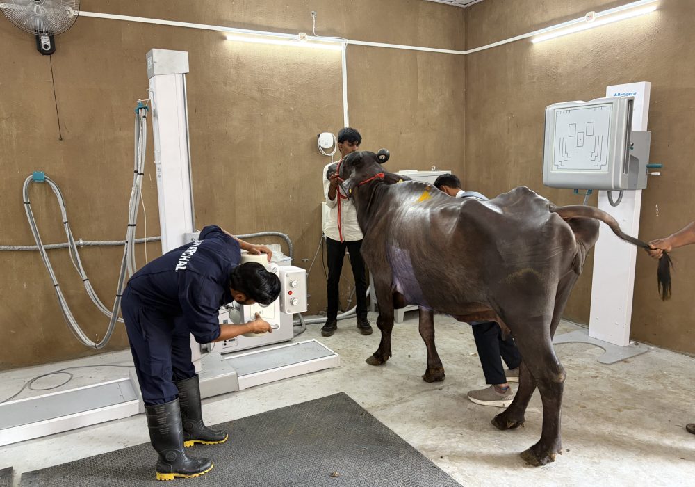X-ray Unit